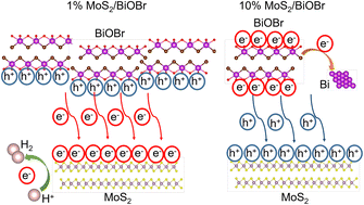 Graphical abstract: 2D MoS2/BiOBr van der Waals heterojunctions by liquid-phase exfoliation as photoelectrocatalysts for hydrogen evolution