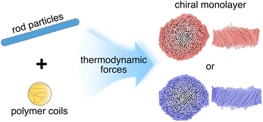 Graphical abstract: The thermodynamic origins of chiral twist in monolayer assemblies of rod-like colloids