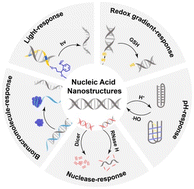 Graphical abstract: Stimuli-responsive nucleic acid nanostructures for efficient drug delivery