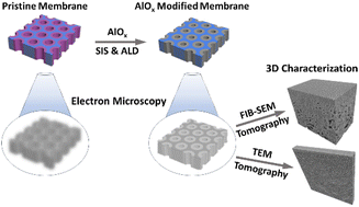 Graphical abstract: Atomic layer deposition enables multi-modal three-dimensional electron microscopy of isoporous membranes