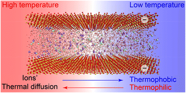 Graphical abstract: Thermal diffusion of ionic species in charged nanochannels