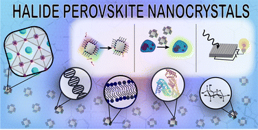 Graphical abstract: Biomolecules incorporated in halide perovskite nanocrystals: synthesis, optical properties, and applications