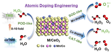 Graphical abstract: Modulation of the biocatalytic activity and selectivity of CeO2 nanozymes via atomic doping engineering