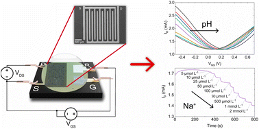 Graphical abstract: A sprayed graphene transistor platform for rapid and low-cost chemical sensing