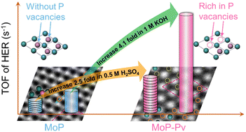 Graphical abstract: Phosphorus vacancies improve the hydrogen evolution of MoP electrocatalysts