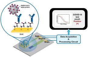 Graphical abstract: Point-of-care (POC) SARS-CoV-2 antigen detection using functionalized aerosol jet-printed organic electrochemical transistors (OECTs)