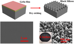 Graphical abstract: Wafer-scale nanostructured black silicon with morphology engineering via advanced Sn-assisted dry etching for sensing and solar cell applications