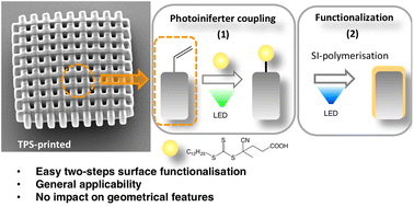Graphical abstract: A general photoiniferter approach to the surface functionalization of acrylic and methacrylic structures written by two-photon stereolithography