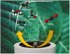 Graphical abstract: Copper and silver nanowires for CO2 electroreduction