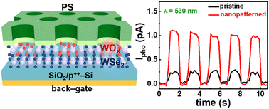 Graphical abstract: Nanostructured doping of WSe2via block copolymer patterns and its self-powered photodetector application