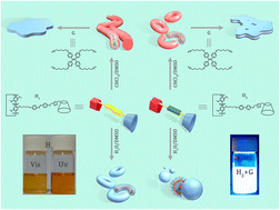 Graphical abstract: Self-assembly of β-cyclodextrin-pillar[5]arene molecules into supramolecular nanoassemblies: morphology control by stimulus responsiveness and host–guest interactions