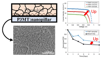 Graphical abstract: Performance and stability improvement of perovskite solar cells using a nanopillar conductive polymer formed via electropolymerisation