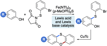 Graphical abstract: Synthesis of phenoxathiins using an iron-catalysed C–H thioarylation