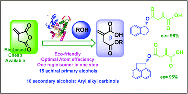 Graphical abstract: Access to valuable building blocks by the regio- and enantioselective ring opening of itaconic anhydride by lipase catalysis