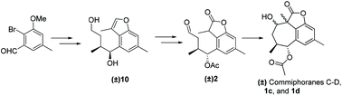 Graphical abstract: Total synthesis of (±) commiphoranes C–D and their epimers
