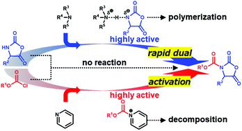 Graphical abstract: A micro-flow rapid dual activation approach for urethane-protected α-amino acid N-carboxyanhydride synthesis