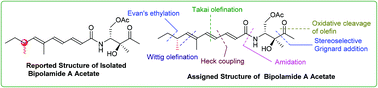 Graphical abstract: Total synthesis and stereochemical assignment of bipolamide A acetate