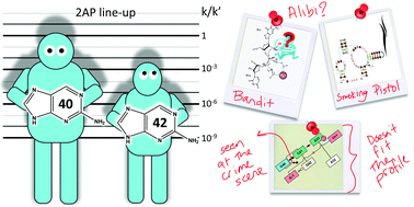 Graphical abstract: Who stole the proton? Suspect general base guanine found with a smoking gun in the pistol ribozyme