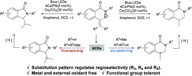Graphical abstract: Visible light-induced N-radical 5-exo/6-endo cyclization of alkenyl amides: facile access to isoindolinones/isoquinolinones