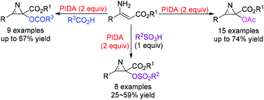 Graphical abstract: Synthesis of acyloxy-2H-azirine and sulfonyloxy-2H-azirine derivatives via a one-pot reaction of β-enamino esters, PIDA and carboxylic acid or sulfonic acid