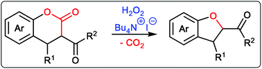 Graphical abstract: Oxidative decarboxylative ammonium hypoiodite-catalysed dihydrobenzofuran synthesis