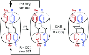 Graphical abstract: Back electron transfer rates determine the photoreactivity of donor–acceptor stilbene complexes in a macrocyclic host