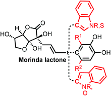 Graphical abstract: Syntheses and biological effects of natural Morinda lactone and derivatives