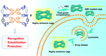 Graphical abstract: A fluorescent, chirality-responsive, and water-soluble cage as a multifunctional molecular container for drug delivery