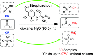 Graphical abstract: O-Methylation of carboxylic acids with streptozotocin