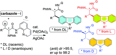 Graphical abstract: Construction of carbazole-based unnatural amino acid scaffolds via Pd(ii)-catalyzed C(sp3)–H functionalization