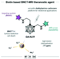 Graphical abstract: Biotinylation of a MRI/Gd BNCT theranostic agent to access a novel tumour-targeted delivery system