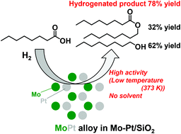 Graphical abstract: Hydrogenation of n-octanoic acid over the MoPt alloy of Mo–Pt/SiO2 catalyst under solvent-free conditions