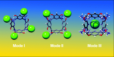 Graphical abstract: Three modes of interactions between anions and phenolic macrocycles: a comparative study