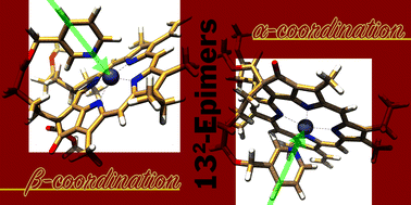 Graphical abstract: Intramolecular axial α/β-coordination of the 132-terminal pyridyl group to the central zinc atom in chlorophyll-a derivatives