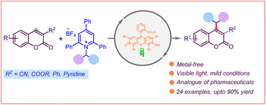 Graphical abstract: Redox activated amines in the organophotoinduced alkylation of coumarins