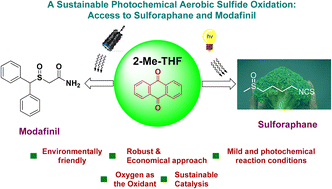 Graphical abstract: A sustainable photochemical aerobic sulfide oxidation: access to sulforaphane and modafinil