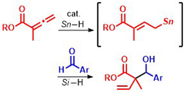 Graphical abstract: Reductive coupling of allenoates with aldehydes catalyzed by halogenotin hydride