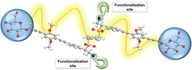Graphical abstract: A two-site reactive platform in the synthesis of amino-functionalized amphiphilic molecules via sulfenic acids