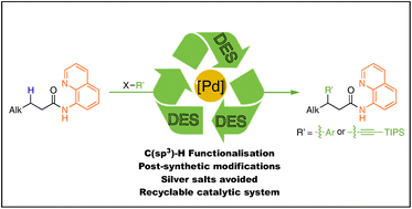 Graphical abstract: Palladium-catalysed Csp3–H functionalisation of unactivated 8-aminoquinoline amides in deep eutectic solvents