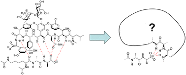 Graphical abstract: Vancomycin mimicry: towards new supramolecular antibiotics