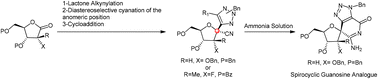 Graphical abstract: Studies on the synthesis of 1′-CN-triazolyl-C-ribosides
