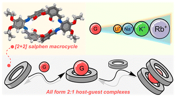 Graphical abstract: Noncooperative guest binding by metal-free [2 + 2] Schiff-base macrocycles