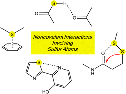 Graphical abstract: Impacts of noncovalent interactions involving sulfur atoms on protein stability, structure, folding, and bioactivity
