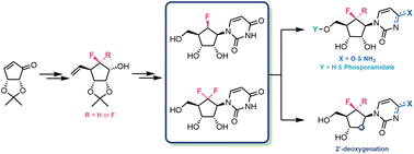Graphical abstract: Synthesis of fluorinated carbocyclic pyrimidine nucleoside analogues