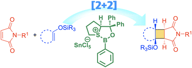 Graphical abstract: Oxathiaborolium-catalyzed enantioselective [2 + 2] cycloadditions