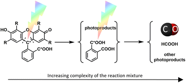 Graphical abstract: Common xanthene fluorescent dyes are visible-light activatable CO-releasing molecules