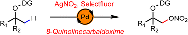 Graphical abstract: Palladium-catalyzed C(sp3)–H nitrooxylation of masked alcohols