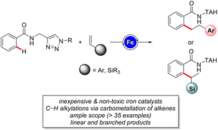 Graphical abstract: Triazole-enabled, iron-catalysed linear/branched selective C–H alkylations with alkenes