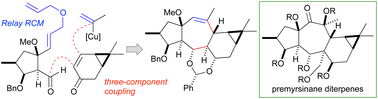 Graphical abstract: Convergent synthesis of the [5-7-6-3] tetracyclic core of premyrsinane diterpenes