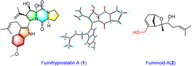 Graphical abstract: An indole diketopiperazine alkaloid and a bisabolane sesquiterpenoid with unprecedented skeletons from Aspergillus fumigatus